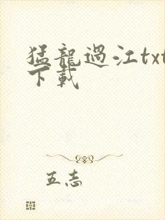 猛龙过江txt下载