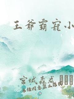 王爷霸宠小甜妻