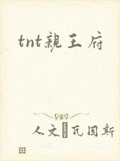 tnt亲王府