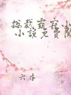 总裁霸宠小娇妻 小说免费阅读