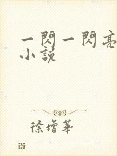 一闪一闪亮晶晶小说