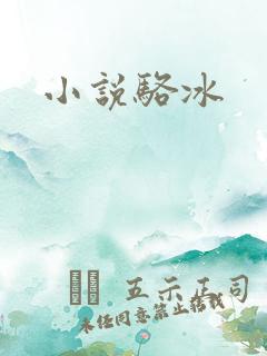 小说骆冰