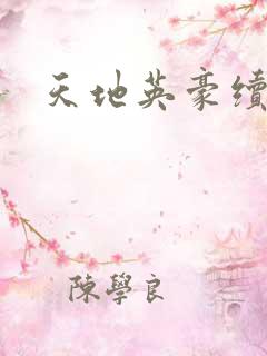 天地英豪续集