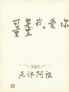 可是我爱你小说重生