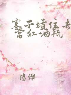 塞子堵住去上学 当红酒瓶