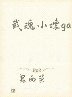 武魂小坏ga