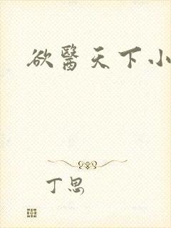 欲医天下小说