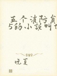 五个消防员1v5的小说叫什么