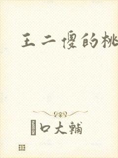 王二傻的桃花运