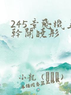 245章飞机上干关晓彤