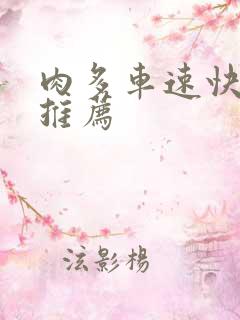 肉多车速快的书推荐