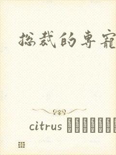 总裁的专宠床奴