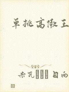 单挑高傲王子