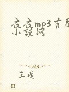 夜夜mp3有声小说网