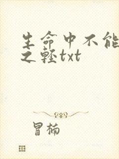 生命中不能承受之轻txt