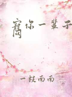 宠你一辈子书包网