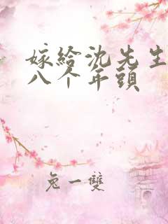 嫁给沈先生的第八个年头