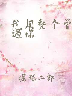 我用整个曾经爱过你