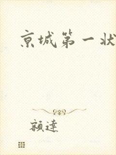京城第一状师