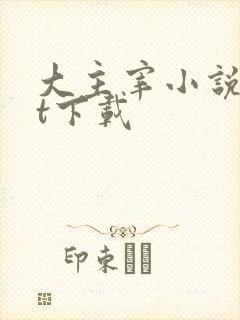 大主宰小说txt下载