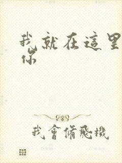 我就在这里要了你