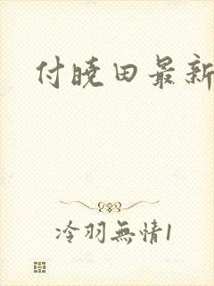 付晓田最新消息