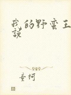 我的野蛮王妃小说
