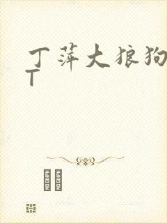 丁萍大狼狗TXT