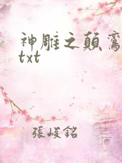 神雕之颠鸾倒凤txt