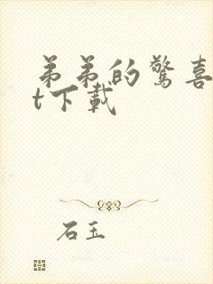 弟弟的惊喜txt下载