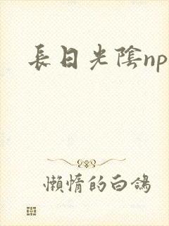 长日光阴np