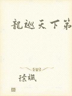龙巡天下第四部