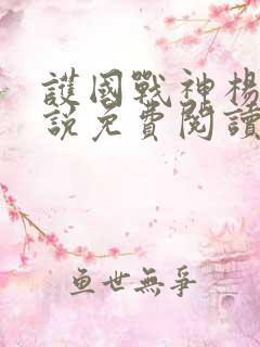 护国战神杨风小说免费阅读