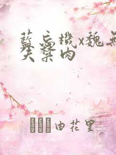 蓝忘机x魏无羡失禁肉