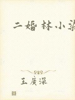 二婚 林小染