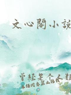 文心阁小说