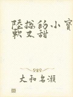 陆总的小宝贝又软又甜