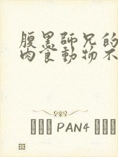 腹黑师兄的日常肉食动物不食草