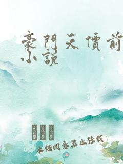 豪门天价前妻 小说