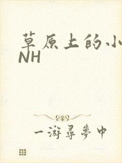 草原上的小公主NH