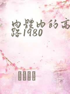 肉体内的高速公路1980