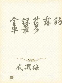 金银花露的哪个车最多