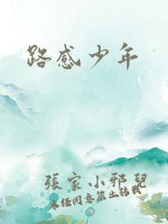 路感少年
