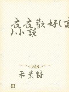 夜夜欢好(高h)小说