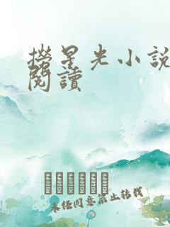 捞星光小说免费阅读