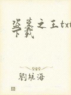 盗墓之王txt下载