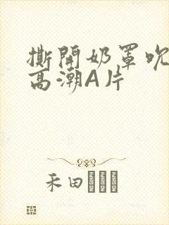 撕开奶罩吮奶头高潮A片