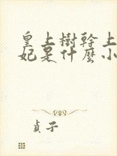 皇上树干上太子妃是什么小说