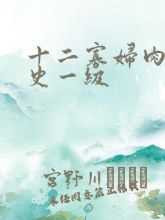十二寡妇肉床艳史一级