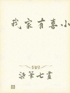 我家有喜小说